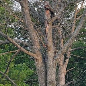 Meet your Posher, Ruby